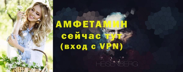 ALPHA PVP Ельня