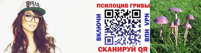 Купить  Подпорожье  Псилоцибиновые грибы Psilocybe 
